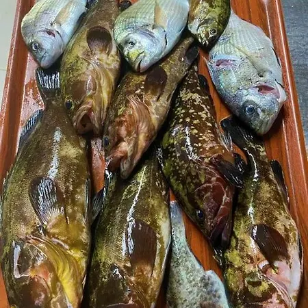 Paradise Karpaz & Restaurant *