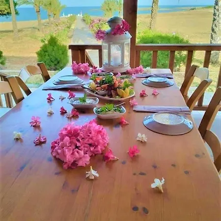 Paradise Karpaz & Restaurant Vendégház *