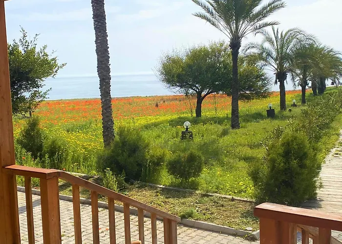 Paradise Karpaz & Restaurant * Rizokarpaso